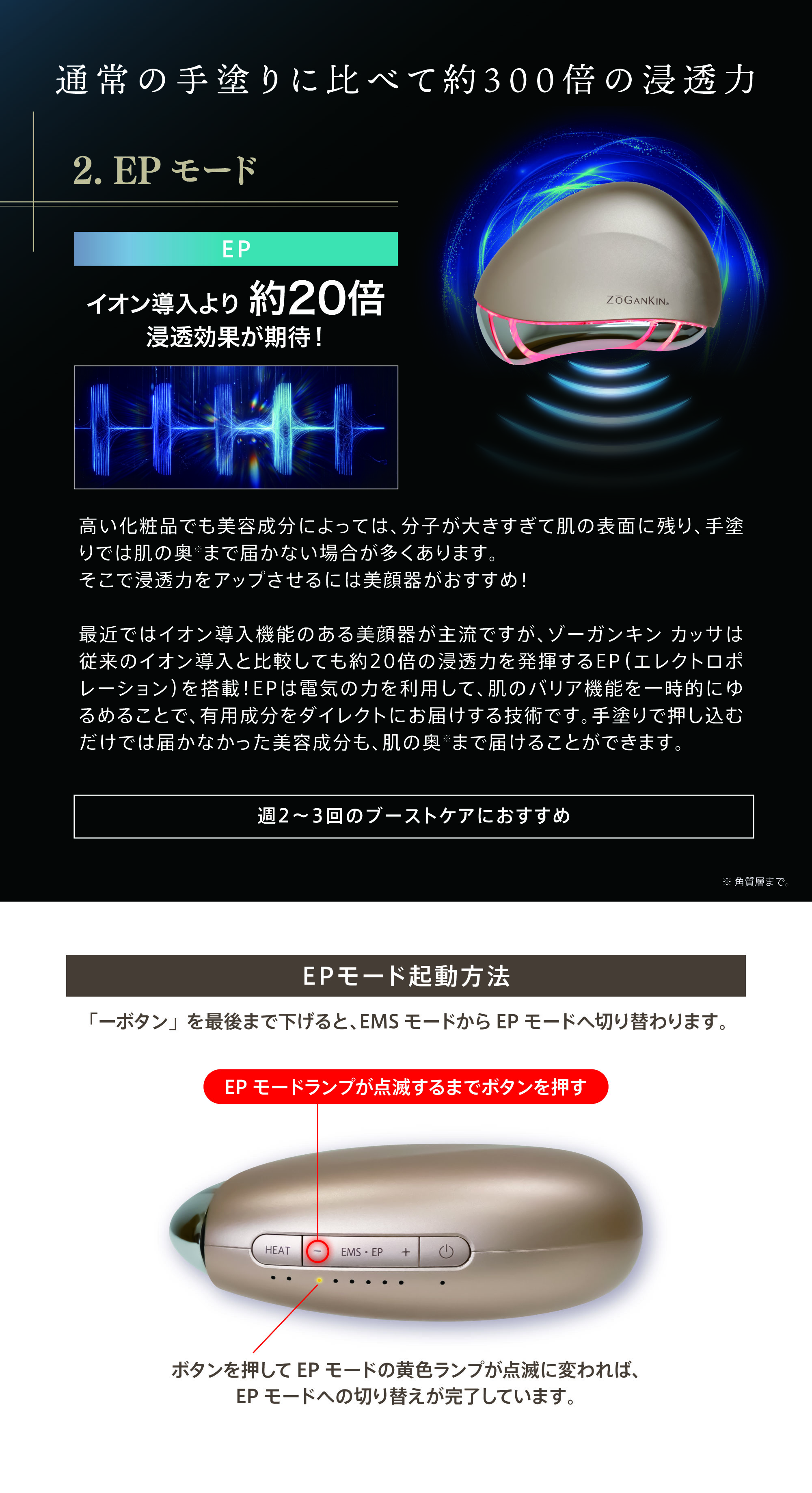 ZOGANKIN ゾーガンキン カッサ