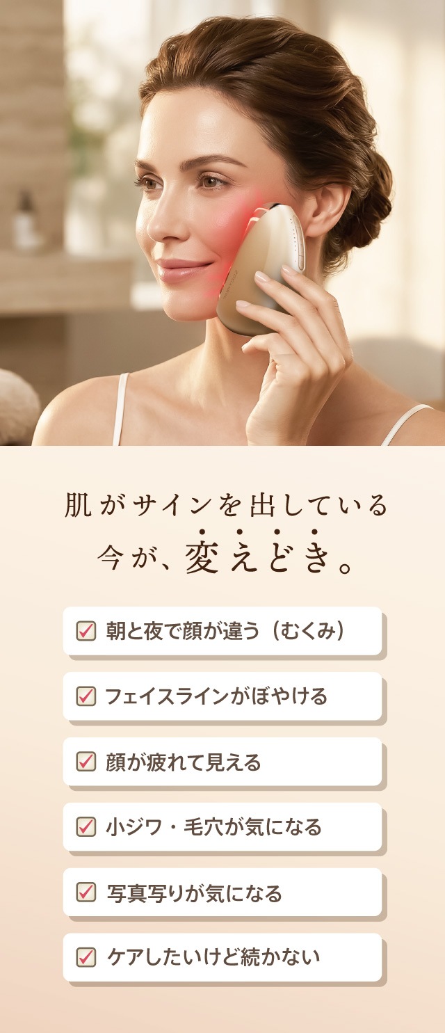 ZOGANKIN ゾーガンキン カッサ
