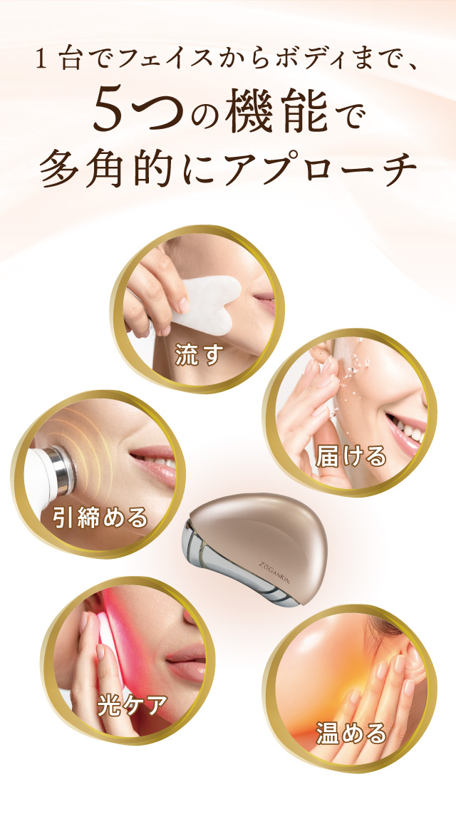 ZOGANKIN ゾーガンキン カッサ