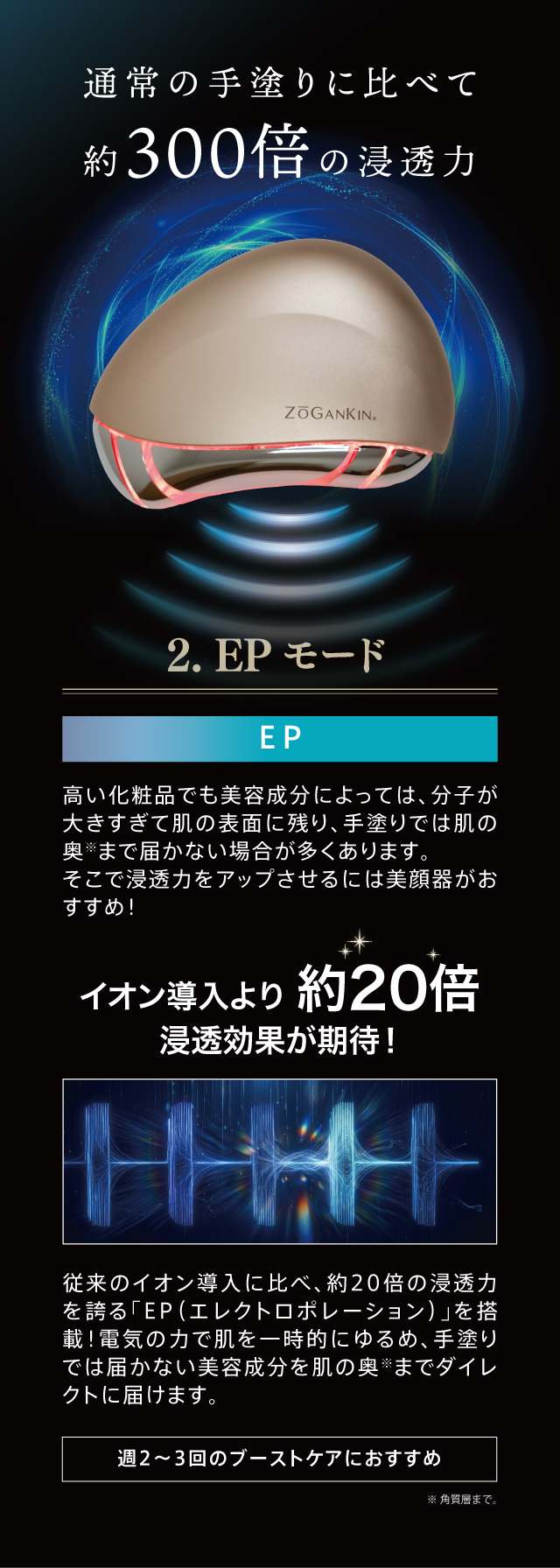 ZOGANKIN ゾーガンキン カッサ