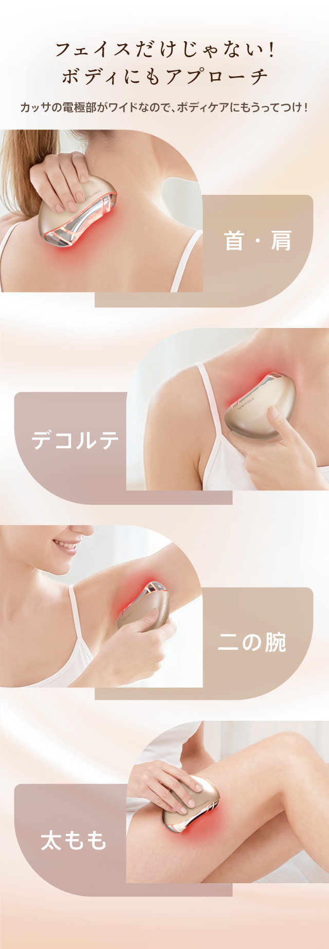 ZOGANKIN ゾーガンキン カッサ