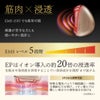 ZOGANKIN_カッサ美顔器_EMS_EP_温熱_LED